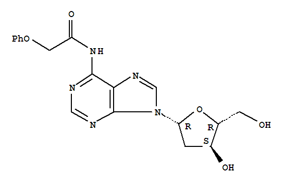 2-脱氧-N6-苯氧基乙酰基腺苷
