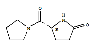 (5R)-5-(1-吡咯烷基羰基)-2-吡咯烷酮