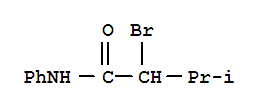 2-溴-3-甲基-N-苯基丁酰胺