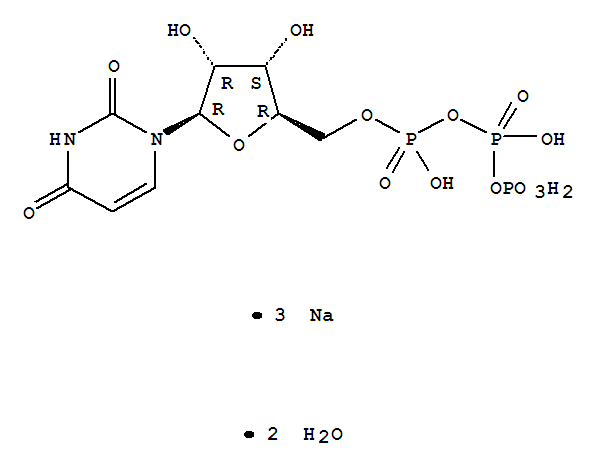 尿苷 5'-三磷酸三钠盐二水合物 618677