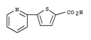 5-吡啶-2-基噻吩-2-乙酸