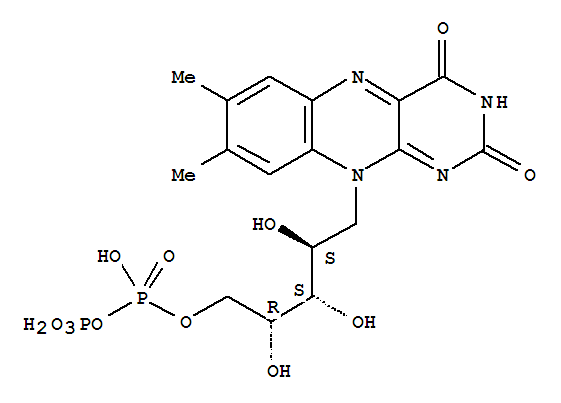 核黄素5'-焦磷酸盐