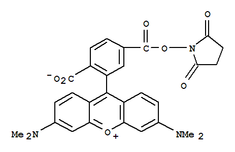 6-羧基四甲基罗丹明琥珀酰亚胺酯 506254