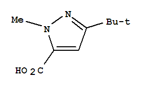 1-甲基-3-叔丁基吡唑-5-甲酸