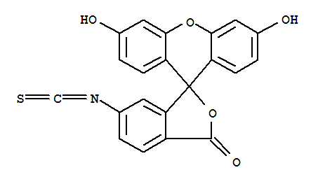 3',6'-二羟基-6-异硫氰基-3H-螺[异苯并呋喃-1,9'-氧杂蒽]-3-酮