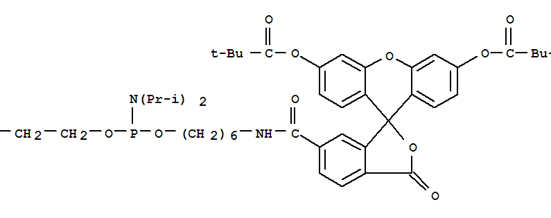 6-FAM亚磷酰胺