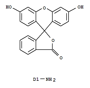 5(6)-氨基荧光素 299866