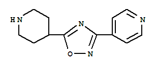 4-[5-(哌啶-4-基)-[1,2,4]-噁二唑-3-基]-吡啶