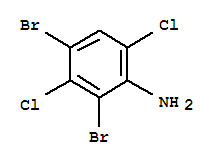 2,4-二溴-3,6-二氯苯胺