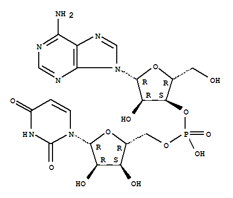 [5-(6-氨基嘌呤-9-基)-4-羟基-2-(羟基甲基)四氢呋喃-3-基][5-(2,4-二氧代嘧啶-1-基)-3,4-二羟基四氢呋喃-2-基]甲基磷酸氢酯