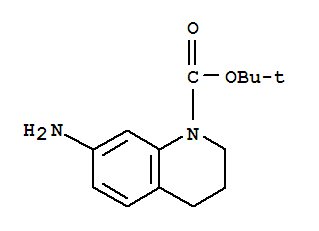 7-氨基-3,4-二氢喹啉-1(2H)-甲酸叔丁酯