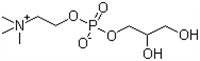 甘磷酰胆碱