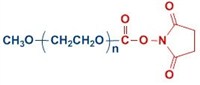 mPEG-SC 单甲氧基聚乙二醇琥珀酰亚胺碳酸酯 mPEG-Succinimidyl Carbonate