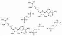 S-腺苷蛋氨酸 1,4-丁二磺酸盐