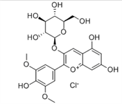 氯化锦葵色素-3-β-葡糖苷