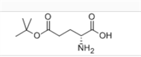 D-谷氨酸,5-(1,1-二甲基乙基)酯