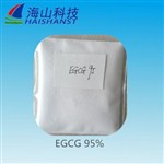 (-)-表没食子儿茶素没食子酸酯 (EGCG)