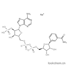 NADP 氧化型辅酶II
