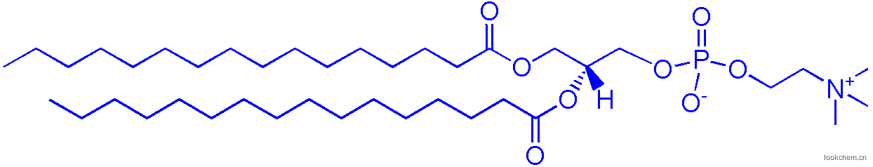 DPPC（1,2-二棕榈酰-sn-甘油-3-磷酰胆碱）