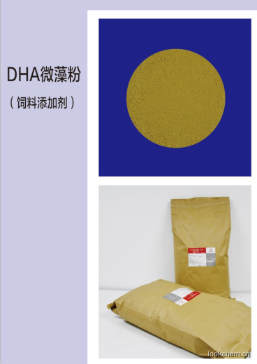 DHA微藻粉