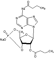二丁酰环磷腺苷钠
