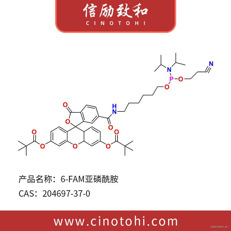 6-荧光素氨基磷酸酯