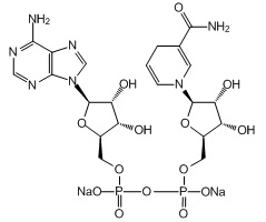 β-烟酰胺腺嘌呤二核苷酸二钠盐 302449